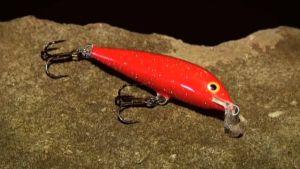 The possession limit for barra on the Daly River has dropped from 5 fish to 3.